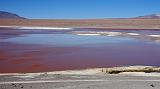 BOLIVIA 2 - Laguna Colorada - 11